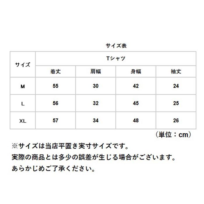カットソー 半袖 レディース きれいめ 通販 tシャツ シャツ パフスリーブtシャツ トップス 無地 ゆったり 袖コンシャス パワショル パワーショルダー | BACKYARD FAMILY | 24