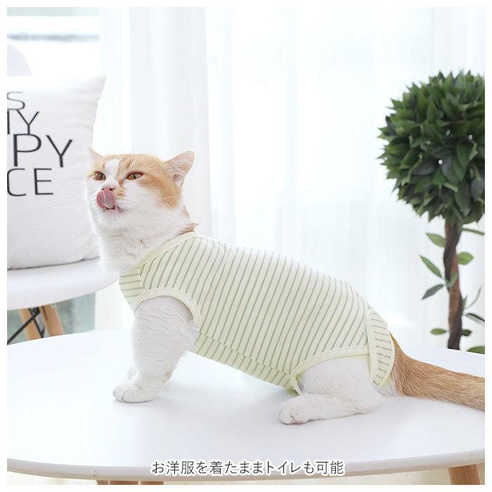 猫 術後服 通販 服 ねこ 傷舐め防止 手術後 ストライプ ロンパース つなぎ カバーオール 洋服 ウェア 術後ウェア 薄手 皮膚保護 柔らかい S M L XL :j4060yg:BACKYARD FAMILY ママタウン - 通販 - Yahoo!ショッピング 猫 術後服 通販 服 ねこ 傷舐め防止 手術後 ストライプ ロンパース つなぎ カバーオール 洋服 ウェア 術後ウェア 薄手 皮膚保護 柔らかい S M L XL :j4060yg:BACKYARD FAMILY ママタウン - 通販 - Yahoo!ショッピング