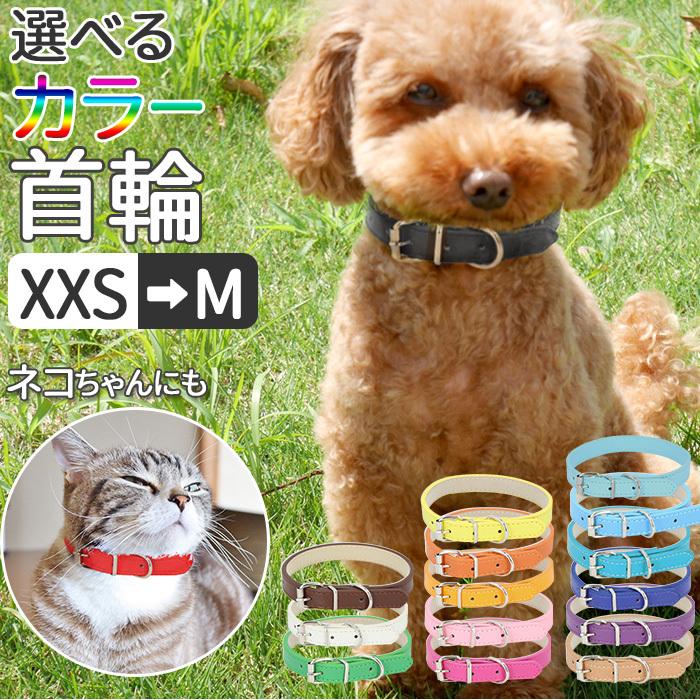ペット 通販ペット 首輪 おしゃれ 猫 犬 痛くない かわいい 可愛い シンプル ネコ イヌ 小型犬 中型犬 散歩 ペット用品 ペットグッズ PUレザー 合皮 革 | BACKYARD FAMILY
