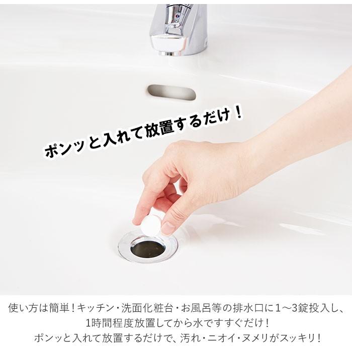 排水管 通販排水管 洗浄液 ヌメリとり パイプクリーナー 掃除 排水口 洗浄剤 水周り 汚れ 風呂 つまり お風呂 洗面台 エコ洗剤 お掃除 キッチン 日用品 台所用品 |  | 03