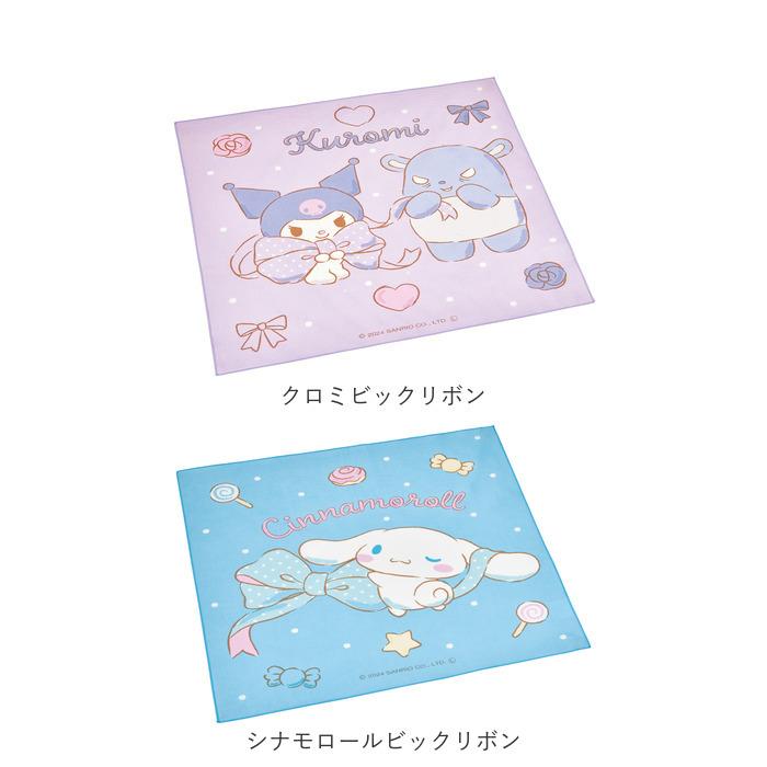 ランチクロス 男の子 女の子 通販 ポケモン ドラえもん すみっコ キティ トトロ お弁当包み ランチクロス | スケーター | 09