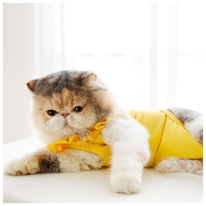 猫 術後服 通販 手術後服 傷舐め防止 術後ウェア ウェア おむつ ネコ キャット ねこ 柔らかい 傷口保護 皮膚保護 脱毛部保護 保護 介護 避妊 去勢 生理期 猫 |  | 06
