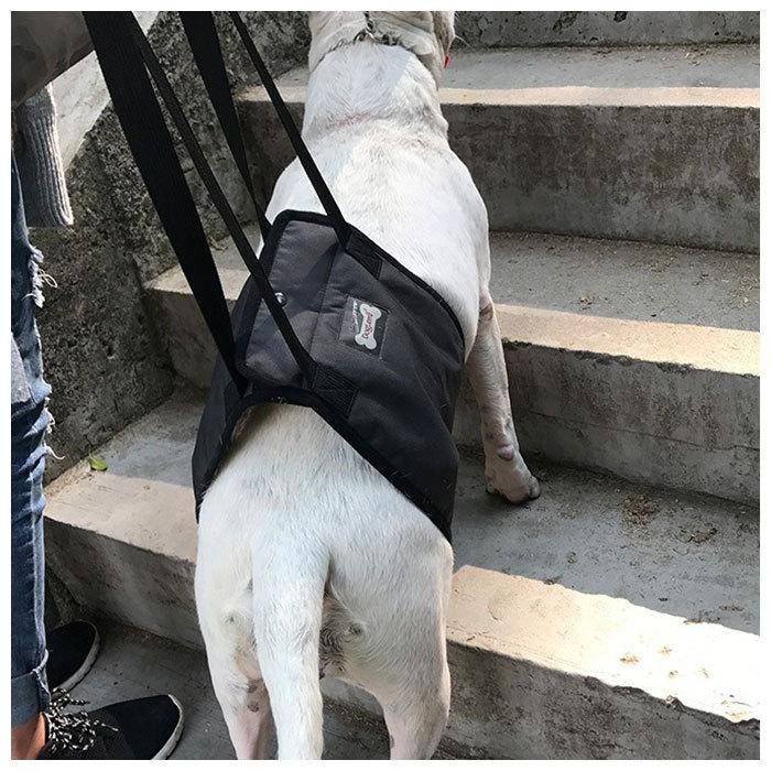 犬 介護 ハーネス 通販 老犬介護用品 歩行補助 介護ハーネス 大型犬 中型犬 小型犬 簡単装着 シニア犬 歩行補助ベルト 介護用品 散歩 リハビリ 犬用 いぬ 犬 | ブランド登録なし | 02