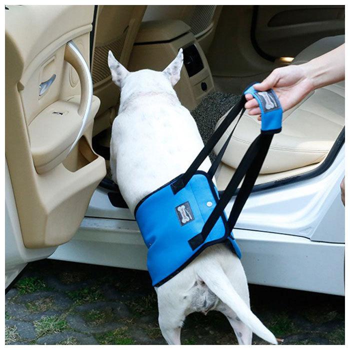 犬 介護 ハーネス 通販 老犬介護用品 歩行補助 介護ハーネス 大型犬 中型犬 小型犬 簡単装着 シニア犬 歩行補助ベルト 介護用品 散歩 リハビリ 犬用 いぬ 犬 | ブランド登録なし | 04