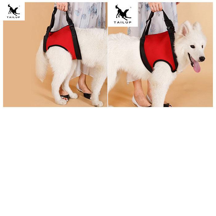 犬 介護 ハーネス 通販 老犬介護用品 歩行補助 介護ハーネス 大型犬 中型犬 小型犬 簡単装着 シニア犬 歩行補助ベルト 介護用品 散歩 リハビリ 犬用 いぬ 犬 | ブランド登録なし | 11