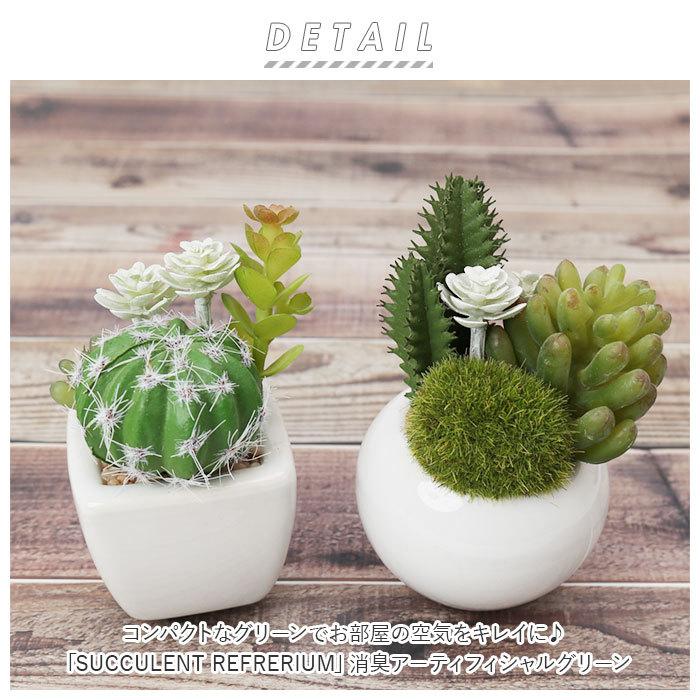 多肉植物 サボテン フェイク 通販 おしゃれ 小さい Ct触媒 消臭アーティフィシャルグリーン サキュレントリフレリウム インテリアグリーン 寄せ植え ポット Backyard Family 通販 Paypayモール