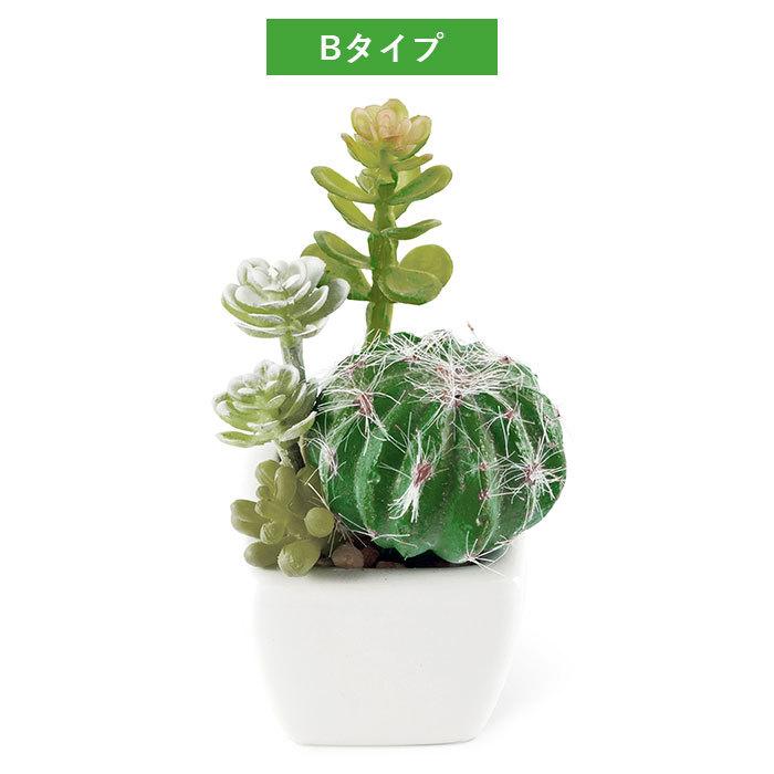 多肉植物 サボテン フェイク 通販 おしゃれ 小さい CT触媒 消臭アーティフィシャルグリーン サキュレントリフレリウム インテリアグリーン 寄せ植え ポット | キシマ | 10