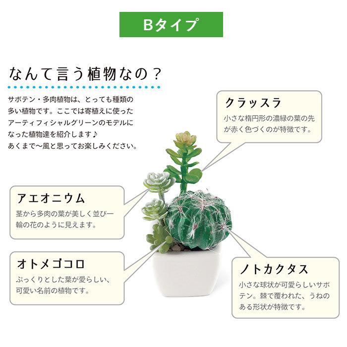 多肉植物 サボテン フェイク 通販 おしゃれ 小さい Ct触媒 消臭アーティフィシャルグリーン サキュレントリフレリウム インテリアグリーン 寄せ植え ポット Kh6098 Backyard Family ママタウン 通販 Yahoo ショッピング