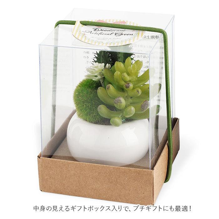 多肉植物 サボテン フェイク 通販 おしゃれ 小さい CT触媒 消臭アーティフィシャルグリーン サキュレントリフレリウム インテリアグリーン 寄せ植え ポット | キシマ | 12