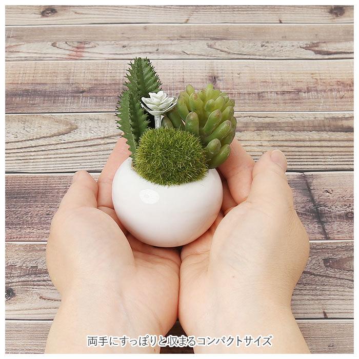 多肉植物 サボテン フェイク 通販 おしゃれ 小さい CT触媒 消臭アーティフィシャルグリーン サキュレントリフレリウム インテリアグリーン 寄せ植え ポット | キシマ | 14