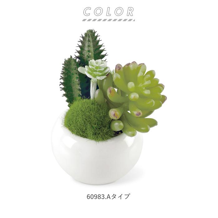 多肉植物 サボテン フェイク 通販 おしゃれ 小さい CT触媒 消臭アーティフィシャルグリーン サキュレントリフレリウム インテリアグリーン 寄せ植え ポット | キシマ | 15