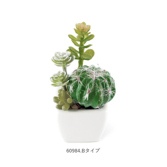 多肉植物 サボテン フェイク 通販 おしゃれ 小さい CT触媒 消臭アーティフィシャルグリーン サキュレントリフレリウム インテリアグリーン 寄せ植え ポット | キシマ | 16