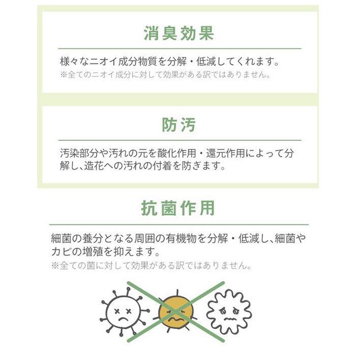 多肉植物 サボテン フェイク 通販 おしゃれ 小さい CT触媒 消臭アーティフィシャルグリーン サキュレントリフレリウム インテリアグリーン 寄せ植え ポット | キシマ | 02