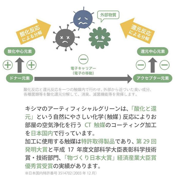 多肉植物 サボテン フェイク 通販 おしゃれ 小さい CT触媒 消臭アーティフィシャルグリーン サキュレントリフレリウム インテリアグリーン 寄せ植え ポット | キシマ | 03