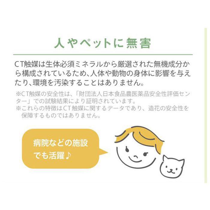 多肉植物 サボテン フェイク 通販 おしゃれ 小さい CT触媒 消臭アーティフィシャルグリーン サキュレントリフレリウム インテリアグリーン 寄せ植え ポット | キシマ | 05