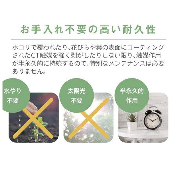 多肉植物 サボテン フェイク 通販 おしゃれ 小さい CT触媒 消臭アーティフィシャルグリーン サキュレントリフレリウム インテリアグリーン 寄せ植え ポット | キシマ | 06