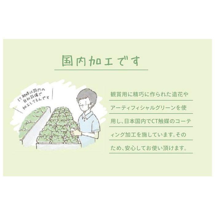 多肉植物 サボテン フェイク 通販 おしゃれ 小さい CT触媒 消臭アーティフィシャルグリーン サキュレントリフレリウム インテリアグリーン 寄せ植え ポット | キシマ | 07