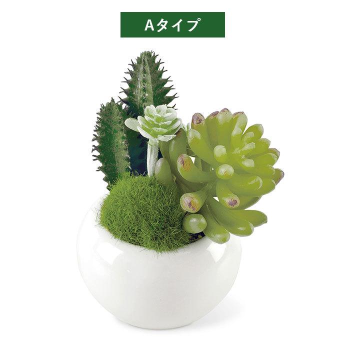 多肉植物 サボテン フェイク 通販 おしゃれ 小さい CT触媒 消臭アーティフィシャルグリーン サキュレントリフレリウム インテリアグリーン 寄せ植え ポット | キシマ | 08