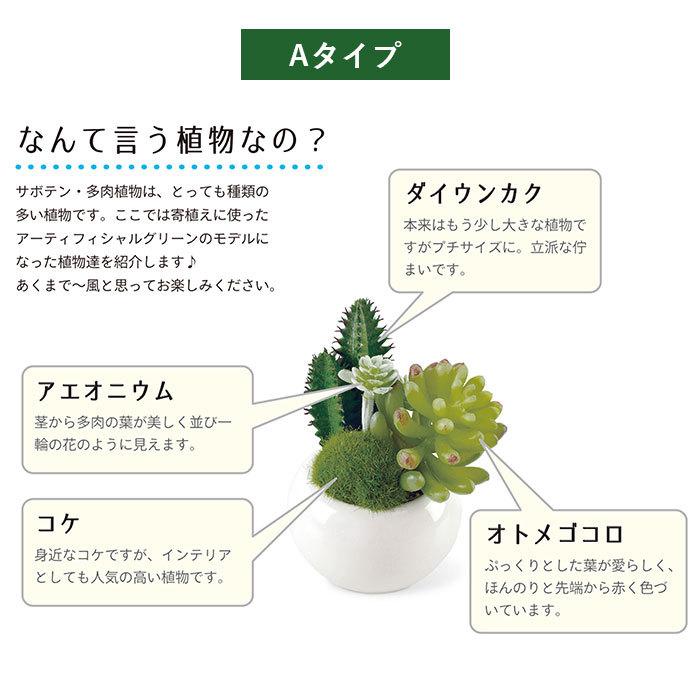 多肉植物 サボテン フェイク 通販 おしゃれ 小さい CT触媒 消臭アーティフィシャルグリーン サキュレントリフレリウム インテリアグリーン 寄せ植え ポット | キシマ | 09