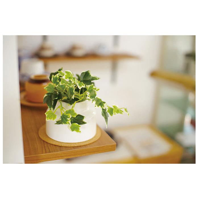 フェイクグリーン ミニ 通販 観葉植物 フェイク 鉢 小さい ct触媒 人工