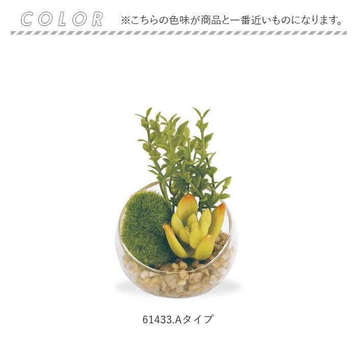 CT触媒 フェイクグリーン 通販 キシマ Sサイズ アーティフィシャルグリーン 観葉植物 フェイク グリーン 人工観葉植物 卓上 多肉植物 寄せ植え CT触媒 | キシマ | 13