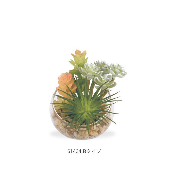 CT触媒 フェイクグリーン 通販 キシマ Sサイズ アーティフィシャルグリーン 観葉植物 フェイク グリーン 人工観葉植物 卓上 多肉植物 寄せ植え CT触媒 | キシマ | 14
