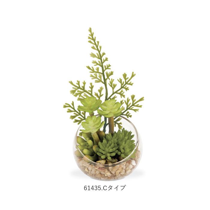 CT触媒 フェイクグリーン 通販 キシマ Sサイズ アーティフィシャルグリーン 観葉植物 フェイク グリーン 人工観葉植物 卓上 多肉植物 寄せ植え CT触媒 | キシマ | 15