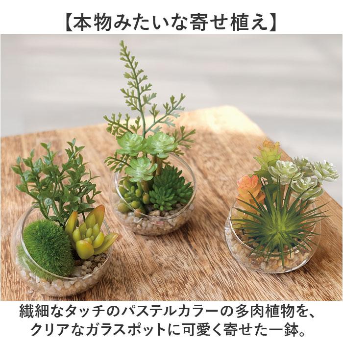 CT触媒 フェイクグリーン 通販 キシマ Sサイズ アーティフィシャルグリーン 観葉植物 フェイク グリーン 人工観葉植物 卓上 多肉植物 寄せ植え CT触媒 | キシマ | 09