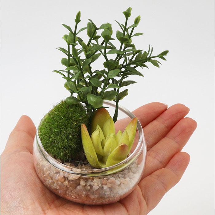 CT触媒 フェイクグリーン 通販 キシマ Sサイズ アーティフィシャルグリーン 観葉植物 フェイク グリーン 人工観葉植物 卓上 多肉植物 寄せ植え CT触媒 | キシマ | 11