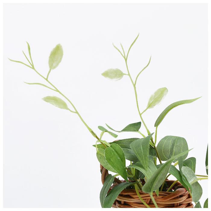 光触媒 通販光触媒 観葉植物 フェイクグリーン おしゃれ 壁掛け フェイク 造花 吊り下げ ハンギング フック 壁 消臭 抗菌 防カビ アイビー クレマチス 光触媒 |  | 10