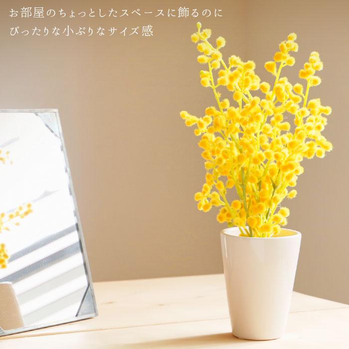 BACKYARD FAMILY（バックヤードファミリー） 光触媒 通販光触媒