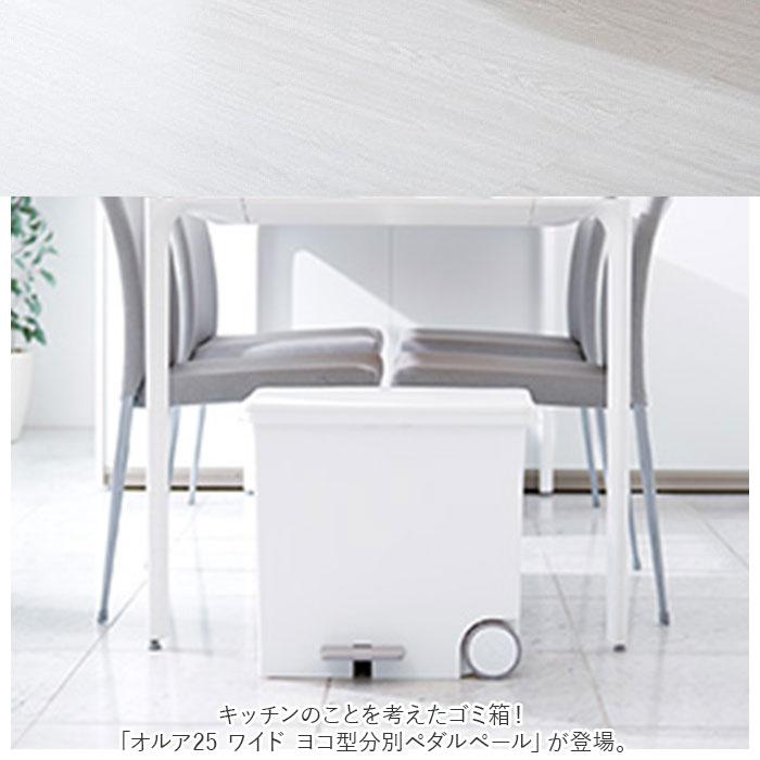 キッチン 通販キッチン ゴミ箱 ペダル 25L ごみ箱 スリム 分別 ペダル式ゴミ箱 低く開く ダストボックス 横型 ヨコ型 おしゃれ 蓋つき ふた付き キッチン | ペダルペール | 01