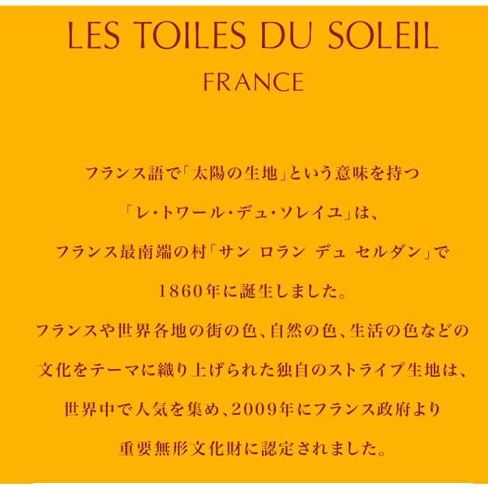 トイレマット 拭ける おしゃれ 拭けるトイレマット 厚手 単品 柔らかい インテリア トイレファブリック 新築祝い ギフト お手入れ簡単 防カビ 防炎｜backyard｜09