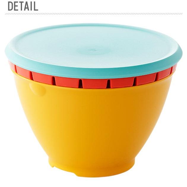 ボウル ザル セット Lサイズ リベラリスタ コランダーL 水切り