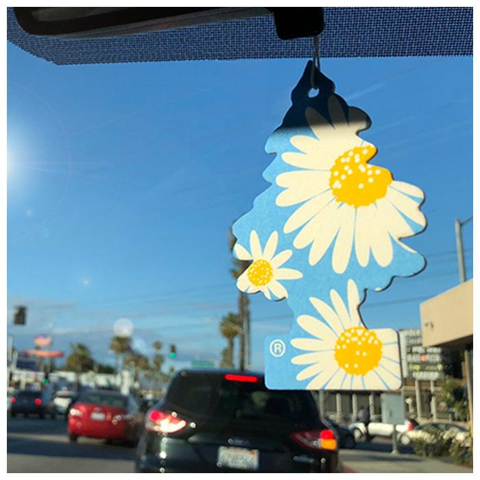 車 芳香剤 吊り下げ 6個セット 通販 リトルツリー ジャスミン little tree ラベンダー エアフレッシュナー ペーパーフレグランス おしゃれ アメリカン雑貨 車 |  | 22