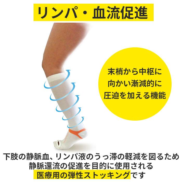 着圧ソックス 通販着圧ソックス 医療用 好評 MBメディカル レディース メンズ ちゃくあつそっくす メディカルソックス ハイソックス ミドル ひざ下 着圧ソックス |  | 02