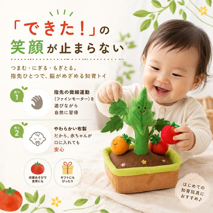 赤ちゃん おもちゃ 指先の知育 通販 ミニファームシリーズ もぎもぎトマト畑 ソフトトイ 知育玩具 ベビー 玩具 布おもちゃ 指先遊び 出産祝い 赤ちゃん | BACKYARD FAMILY | 03