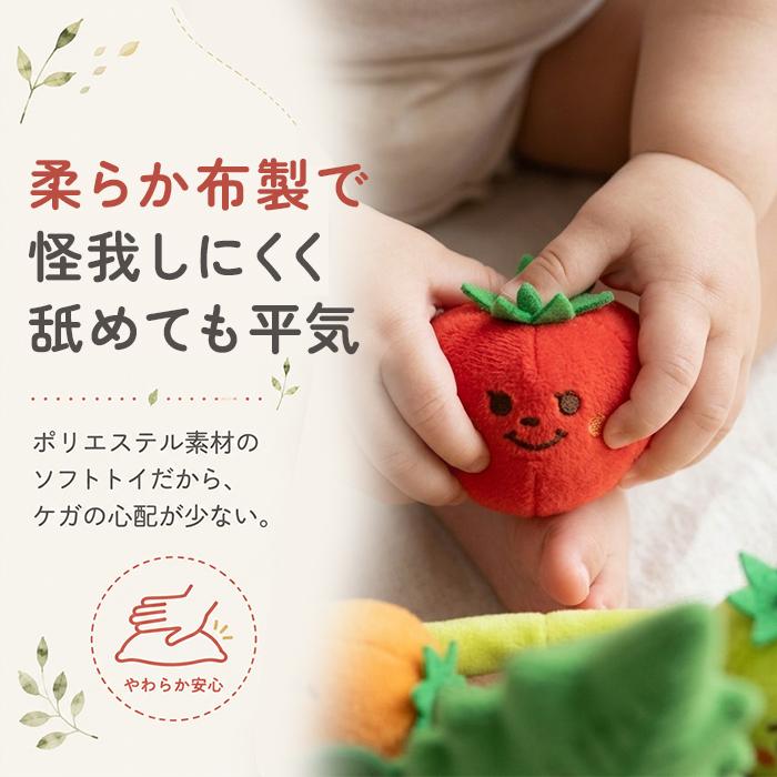 赤ちゃん おもちゃ 指先の知育 通販 ミニファームシリーズ もぎもぎトマト畑 ソフトトイ 知育玩具 ベビー 玩具 布おもちゃ 指先遊び 出産祝い 赤ちゃん | BACKYARD FAMILY | 06