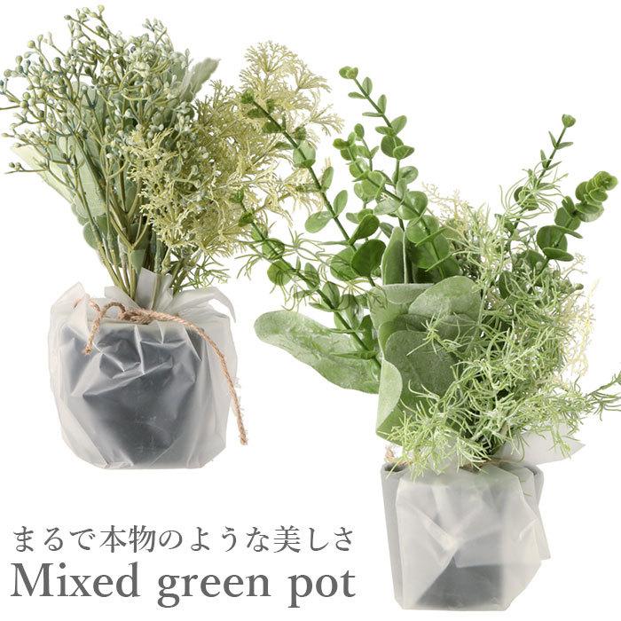 フェイクグリーン ミニ 通販 造花 観葉植物 イミテーショングリーン インテリアグリーン サキュレント バーチャルグリーン 卓上 寄せ植え 置物 プレゼント Backyard Family 通販 Paypayモール