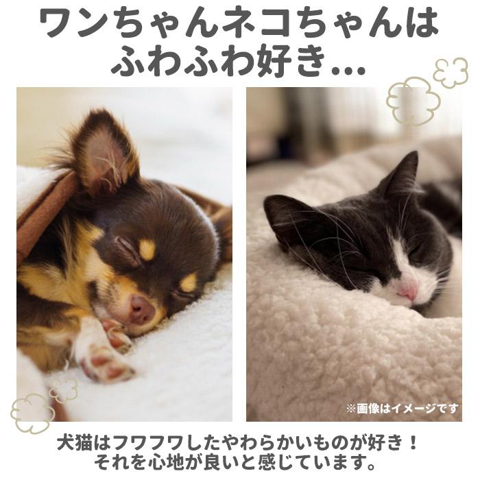 ペット ベッド マット 通販 クッション 猫 犬 ねこベッド ケージ用 ペット用 洗える ボアマット ペット用品 猫用品 おしゃれ かわいい ネコ ねこ 犬用品 ペット |  | 05