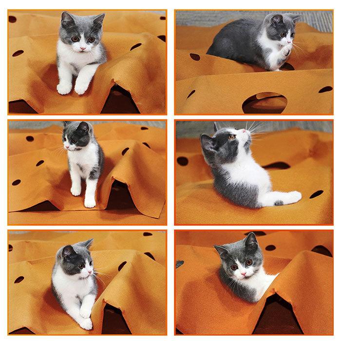 猫 トンネル 通販 おもちゃ 一人遊び 玩具 猫用 ねこ ネコ 毛布 パズル コンパクト キャットトンネル おしゃれ かわいい インテリア 雑貨 知育 ペット 猫 |  | 03