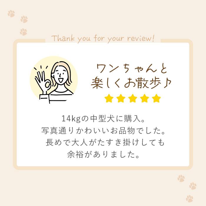 犬 ショルダーリード 通販 肩掛けリード 斜め掛けリード 編み込みパラコード パラコード リード 手放し 手ぶら 肩掛け ハンズフリー お散歩 お出かけ | BACKYARD FAMILY | 12
