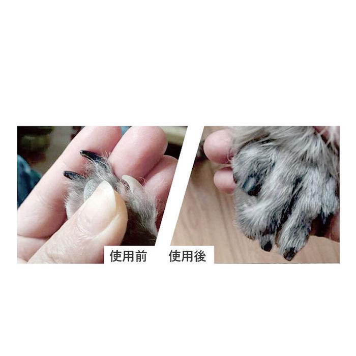 ネイルケア 電動 ペット 通販 コンパクト 軽い 爪やすり 爪磨き 爪切り つめきり 猫 犬 電池式 安全 便利 効率的 ライト付き 爪ケア用品 ネイルケア | BACKYARD FAMILY | 08