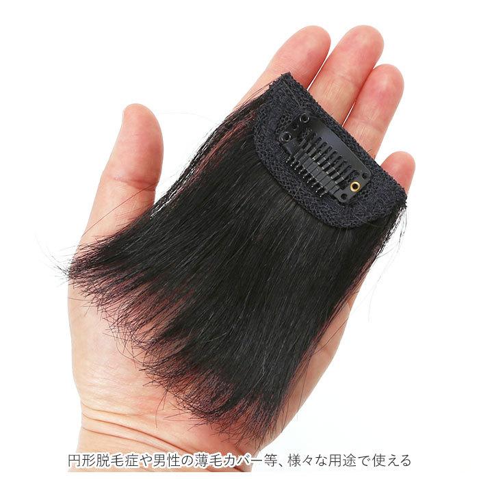 エクステ 人毛 ワンタッチ 2個セット 通販 つけ毛 ミニ 部分ウィッグ ウイッグ ポイントウィッグ 人毛100% 部分かつら 前髪 頭頂部 かつら 白髪隠し エクステ | ブランド登録なし | 09