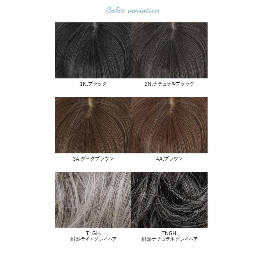プリシラ ウィッグ レディース 分け目 ST-005 通販 ミセスウィッグ 白髪かくしウィッグ 部分ウイッグ 部分ウィッグ 増毛 部分かつら エクステ 付け毛 プリシラ |  | 16