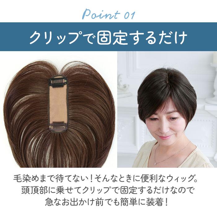 プリシラ ウィッグ レディース 分け目 ST-005 通販 ミセスウィッグ 白髪かくしウィッグ 部分ウイッグ 部分ウィッグ 増毛 部分かつら エクステ 付け毛 プリシラ |  | 09