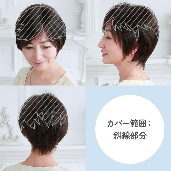 プリシラ ウィッグ レディース 分け目 ST-005 通販 ミセスウィッグ 白髪かくしウィッグ 部分ウイッグ 部分ウィッグ 増毛 部分かつら エクステ 付け毛 プリシラ |  | 14