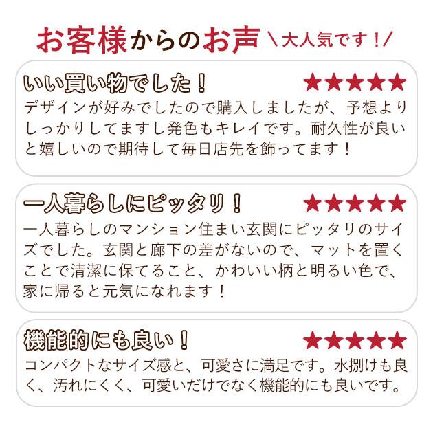 玄関マット おしゃれ 屋外 通販 北欧 おしゃれ 約60 × 40 cm 泥落とし 玄関先 屋内 水洗い ベランダ PVC エントランスマット ドアマット 玄関マット | BACKYARD FAMILY | 18