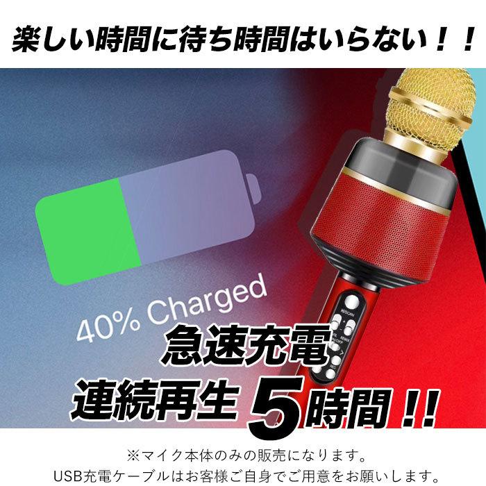 カラオケマイク 家庭用 通販 マイク led付 usb ワイヤレス ワイヤレスマイク ホームパーティー 音楽 イベント 宴会 行楽 花見 お花見 パーティ カラオケマイク | BACKYARD FAMILY | 10