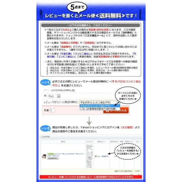 サフィール ビーズワックスポリッシュ 50ml SAPHIR 靴ケア用品 定番 無色 ダークタン濃茶 黒 保革剤 ツヤ出し 靴磨き 油性 |  | 03